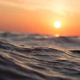 酒店餐饮流程必选环节从ano到ano